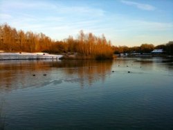 IMG_0199.jpg
