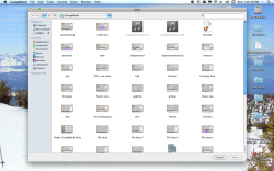 Screen shot 2009-12-30 at 1.40.38 PM.png