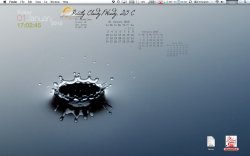 Screen Capture 2010-01-01 at 5.02.41 PM.jpg