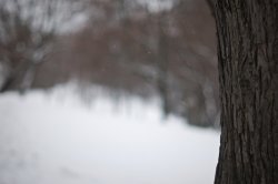 2009-12-25 at 15-00-39 - Version 2 (1).jpg