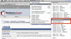 Screen shot 2010-01-03 at 10.28.23 AM.jpg