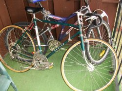 bikes.jpg