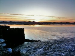 IMG_0227.JPG