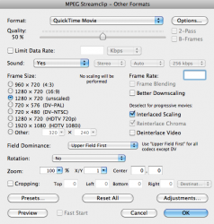 Screen shot 2010-01-09 at 10.49.22 PM.png