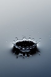 iPHONE Splash.jpg