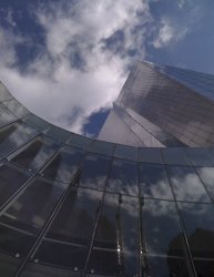 IMG_0113_0.jpg