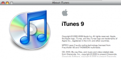 iTunes Version.png