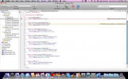 Screen shot 2010-01-17 at 5.42.45 PM.png