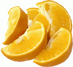 orange+slices+2.gif