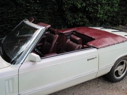 dodge 400 and cookie & lance 065.jpg