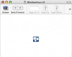 windowvous.jpg