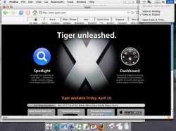 tiger.jpg