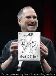 liger.jpg