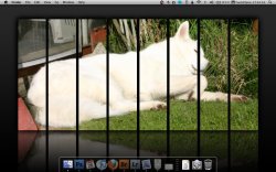 Screen shot 2010-01-26 at 17.44.35.jpg