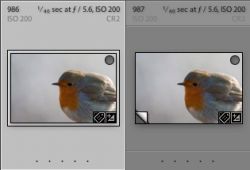 Screen shot 2010-01-26 at 21.40.49.png