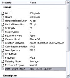 Captured-20100127·585.jpg