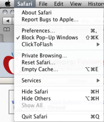 Screen shot 2010-02-07 at 6.38.05 PM.png
