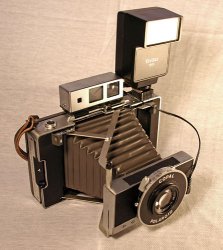 3247854818_41205a91b0.jpg