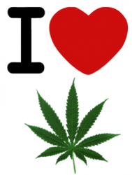 Picture 2.png