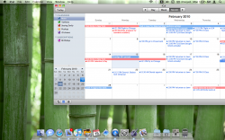 Screen shot 2010-02-15 at 11.45.33 AM.png