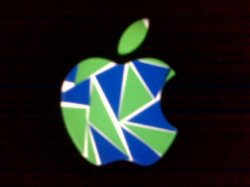 18467_1333143574150_1397865336_974843_7621750_n.jpg