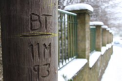4352355424_0292410477_b.jpg