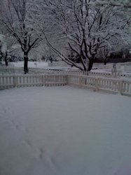 photo1.jpg