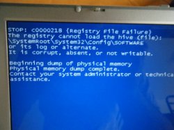 Blue screen hive.jpg