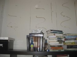 IMG_1285.jpg