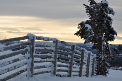 DSC_1363.jpg