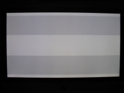IMG_0366.JPG