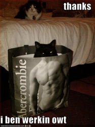 funny-pictures-your-cat-has-been-working-out.jpg.jpeg