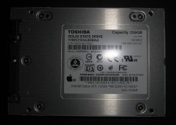 CIMG2317_cropped.jpg
