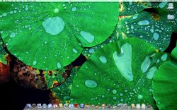 Screen shot 2010-03-09 at 9.18.49 AM.jpg