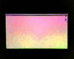 DSC-0006.jpg
