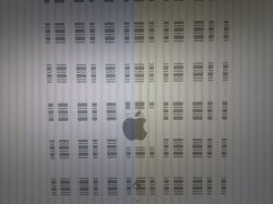 9628_133872471149_632561149_2968279_4001712_n.jpg