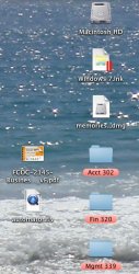 Screen shot 2010-03-25 at 12.11.08 AM.jpg