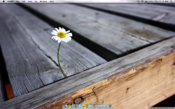 Screen shot 2010-04-01 at 11.15.55 AM.png