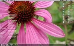 Screen shot 2010-04-02 at 9.08.25 PM.jpg