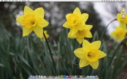 Screen shot 2010-04-03 at 13.00.04.jpg