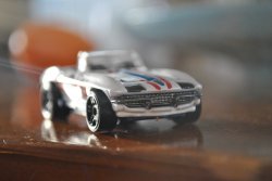 DSC_0060s.jpg