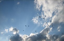 IMG_0157.JPG