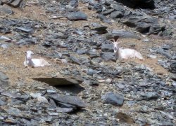 IMG_0011.JPG