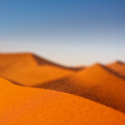 02172_windydunes_1024x1024.jpg
