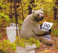 bear-in-the-woods.jpg