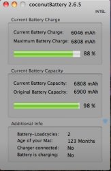 coconutBattery 2.6.5.jpg