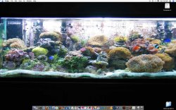 test-3.jpg
