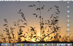 Desktop.jpg