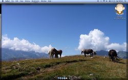 Screen shot 2010-05-01 at 09.52.26.jpg