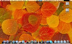 Screen shot 2010-05-01 at 11.41.09 AM.jpg